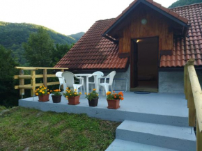 Отель Apartment Sela  Толмин